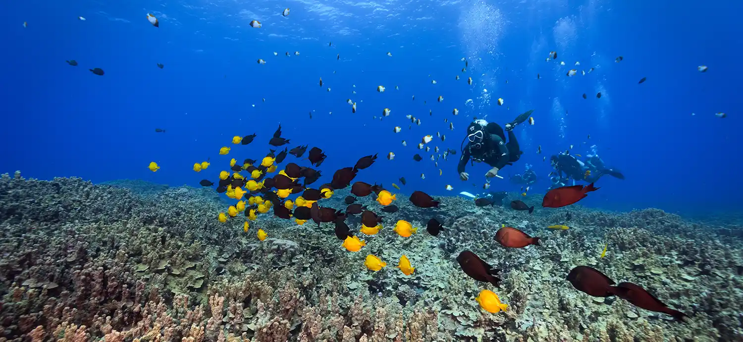 Day 4: More Exuma Exploration | AquaJade Travel Agency