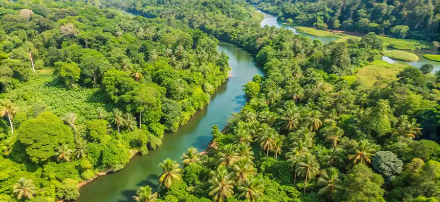 Day 6: Amazon Rainforest Transfer | AquaJade Travel Agency
