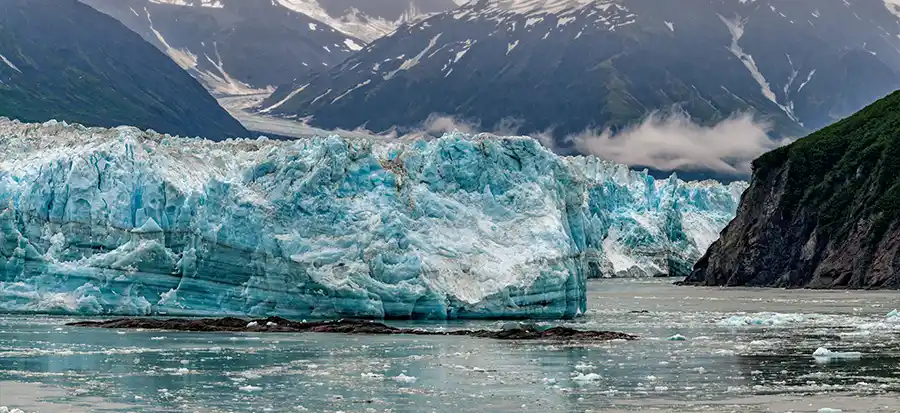 Day 5: Glacier Bay National Park (Scenic Cruising) | AquaJade Travel Agency